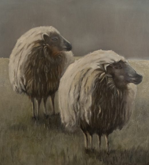 twee schapen